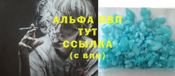 стаф Балахна