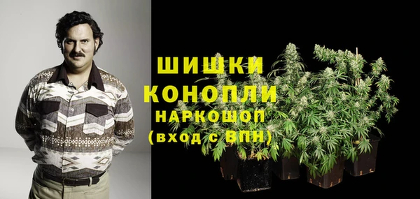 стаф Балахна