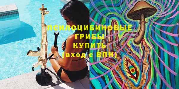 стаф Балахна